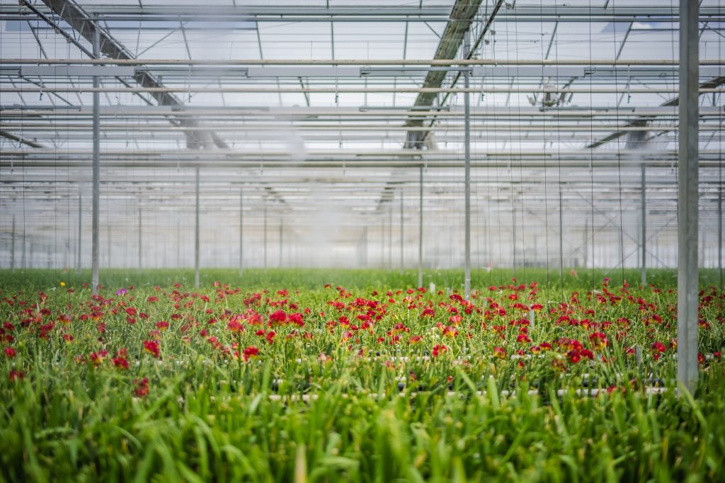 Assistent Bedrijfsleider