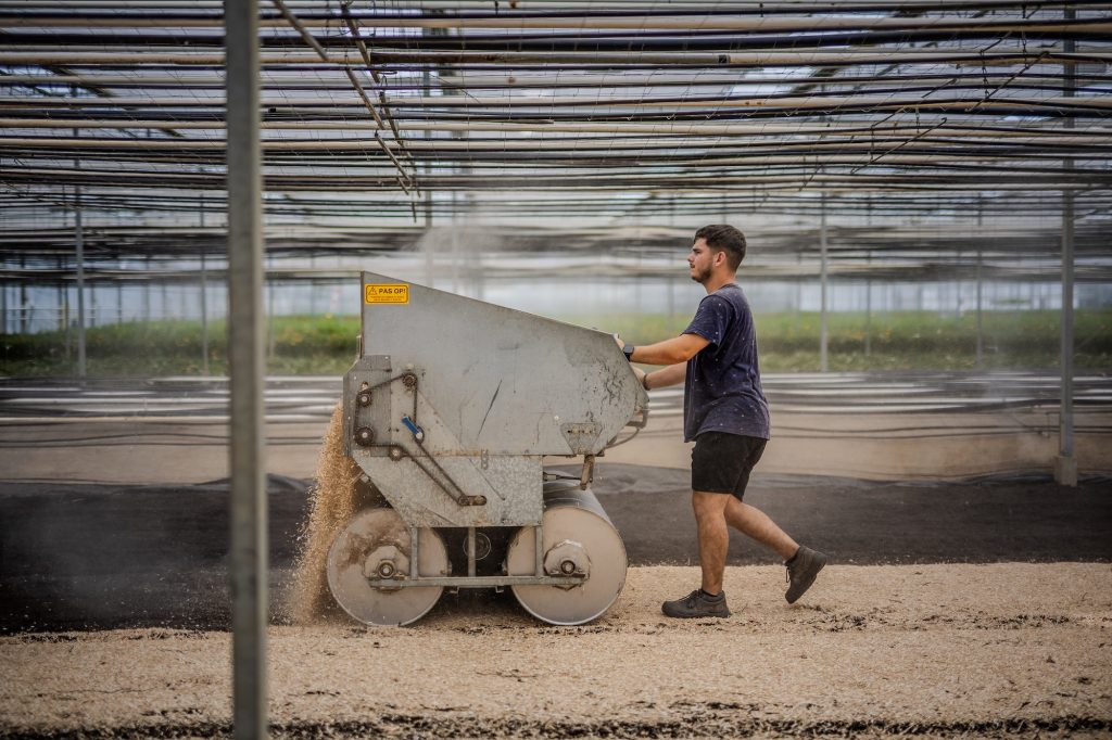 Werken bij de Heufkens