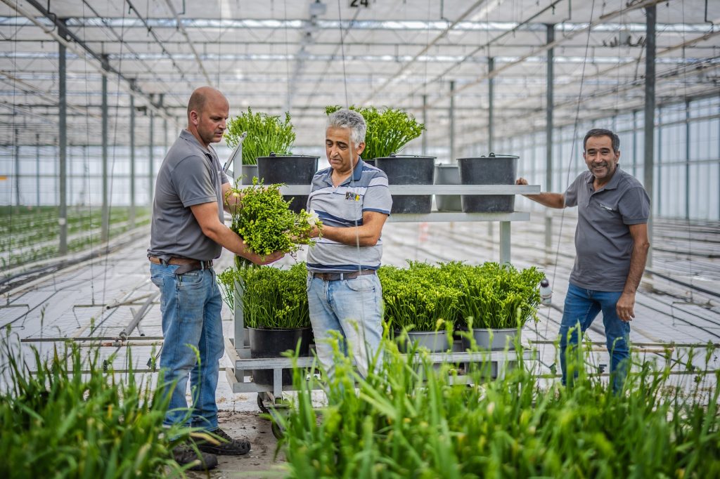 Werken bij de Heufkens