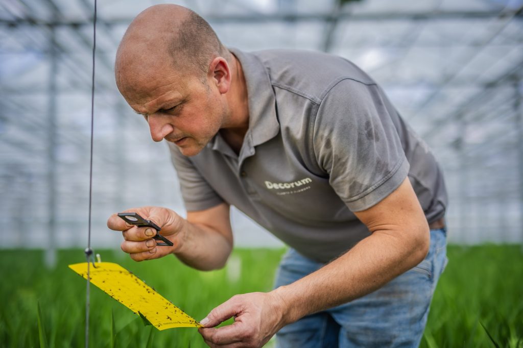 Werken bij de Heufkens